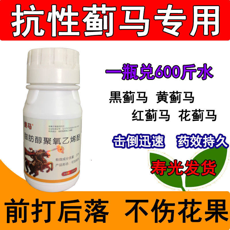 蓟马专用特效药专杀抗性蓟马辣椒茄子豆角黄瓜蓟马专用药蔬菜果树
