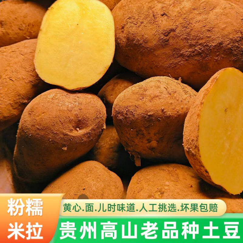 贵州土豆威宁高山老品种黄皮黄心米拉洋芋新鲜现挖自种品种马铃薯