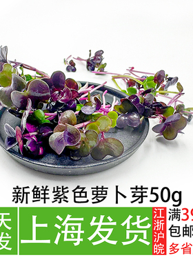 紫色萝卜苗50g 可食用芽苗菜餐厅摆盘装饰凉拌菜配菜萝卜苗