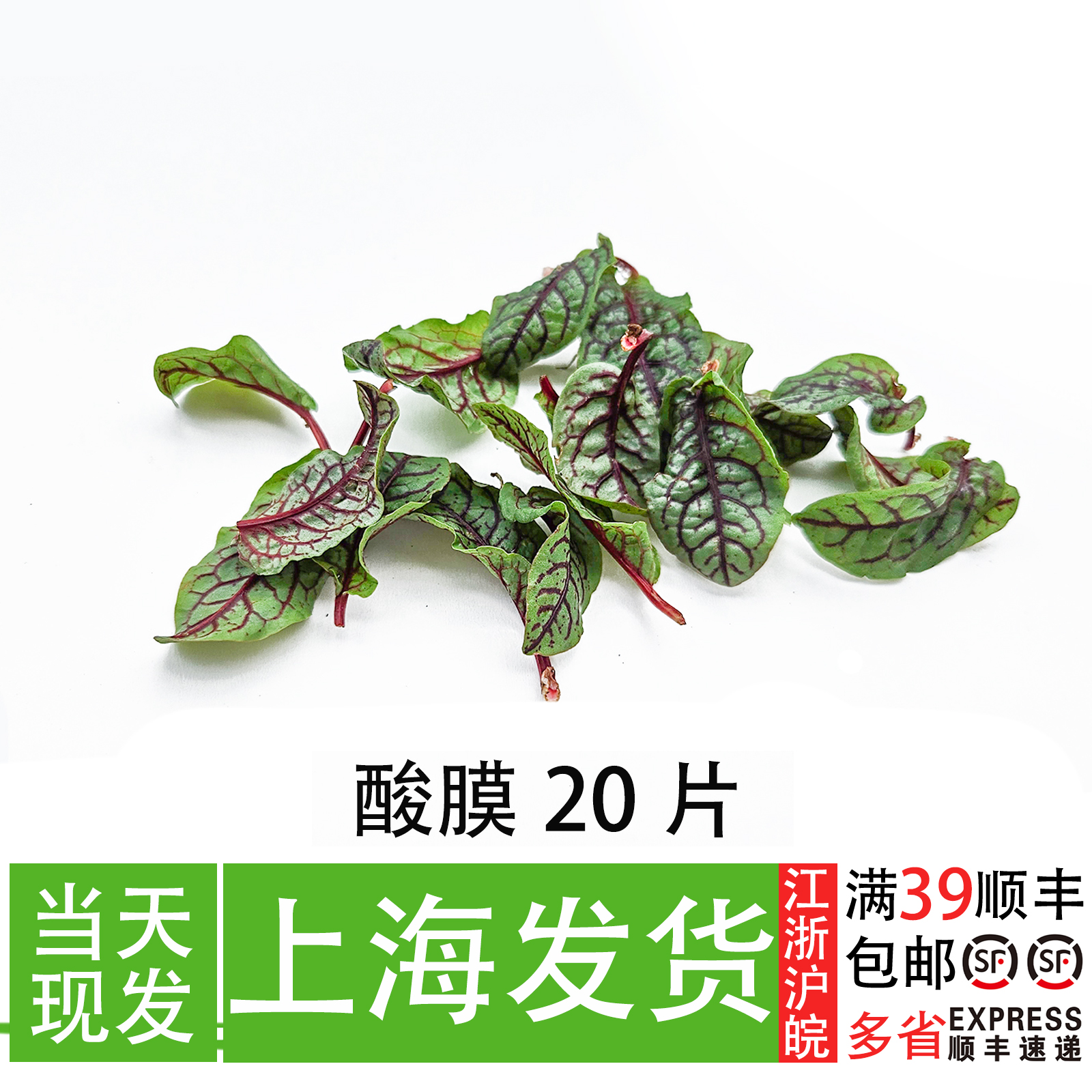 酸膜叶可食用冷菜装饰叶子