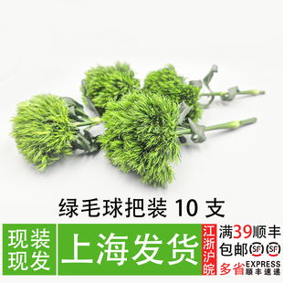 新鲜绿毛球餐厅冷盘菜品刺身造景摆盘点缀水果礼盒装饰花草