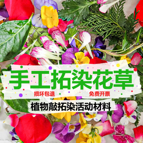 新鲜植物敲拓染鲜花叶子幼儿活动