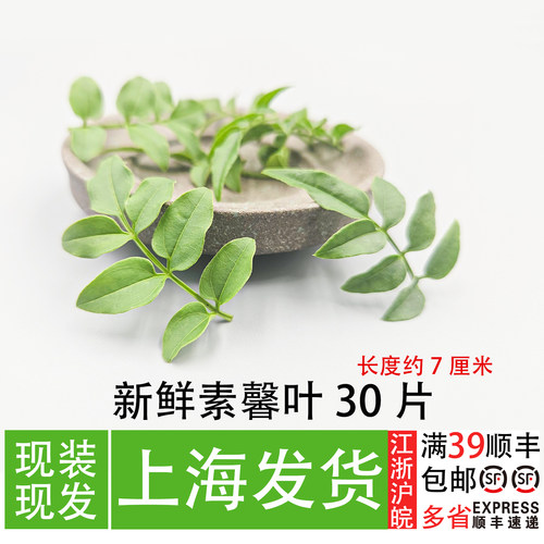 新鲜素馨叶30片/盒摆盘装饰花草