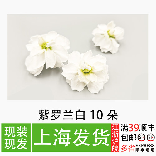 紫罗兰花餐饮冷盘菜品摆盘花草