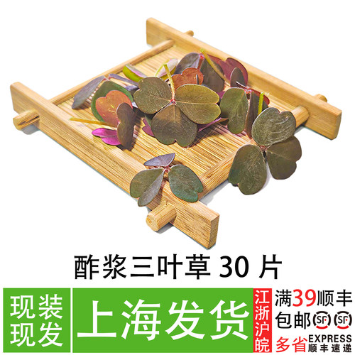 新鲜三叶草餐厅精致摆盘装饰叶子