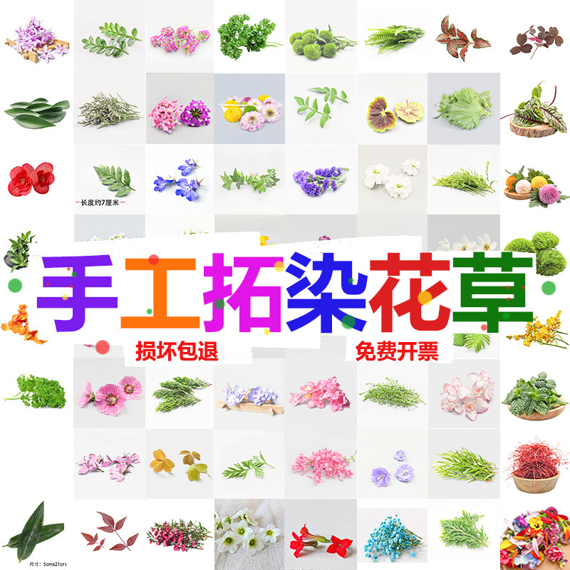 新鲜植物敲拓染鲜花叶子幼儿活动花卉材料树叶贴花压花锤花押花,鲜花速递/花卉仿真/绿植园艺,时令草本花卉,淘宝优惠券,粉丝福利购,淘宝优惠卷