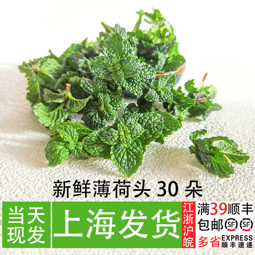 可食用薄荷头夏日果饮调味