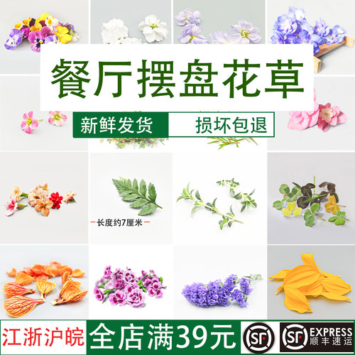 【高高手】摆盘装饰花草餐饮通用