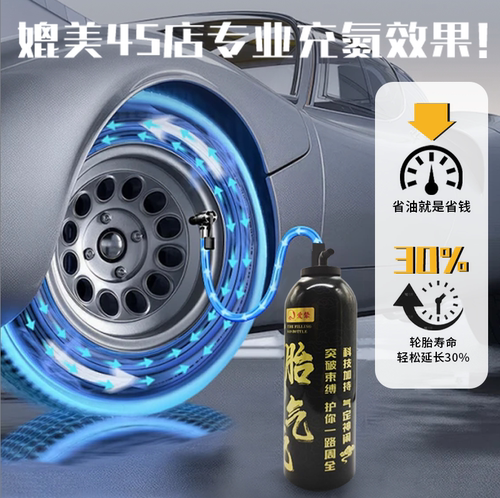 氮定氮气充气机家用小型便携式充气泵过滤户外车载旅行便捷救急