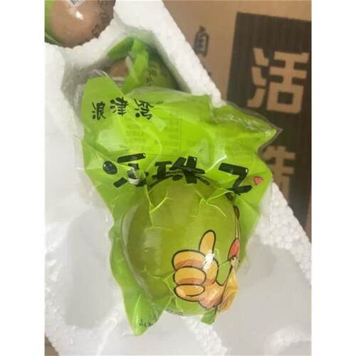 浪津湾40枚活珠子新鲜13天鸡胚蛋开袋即食五z香钢化蛋开袋即食熟