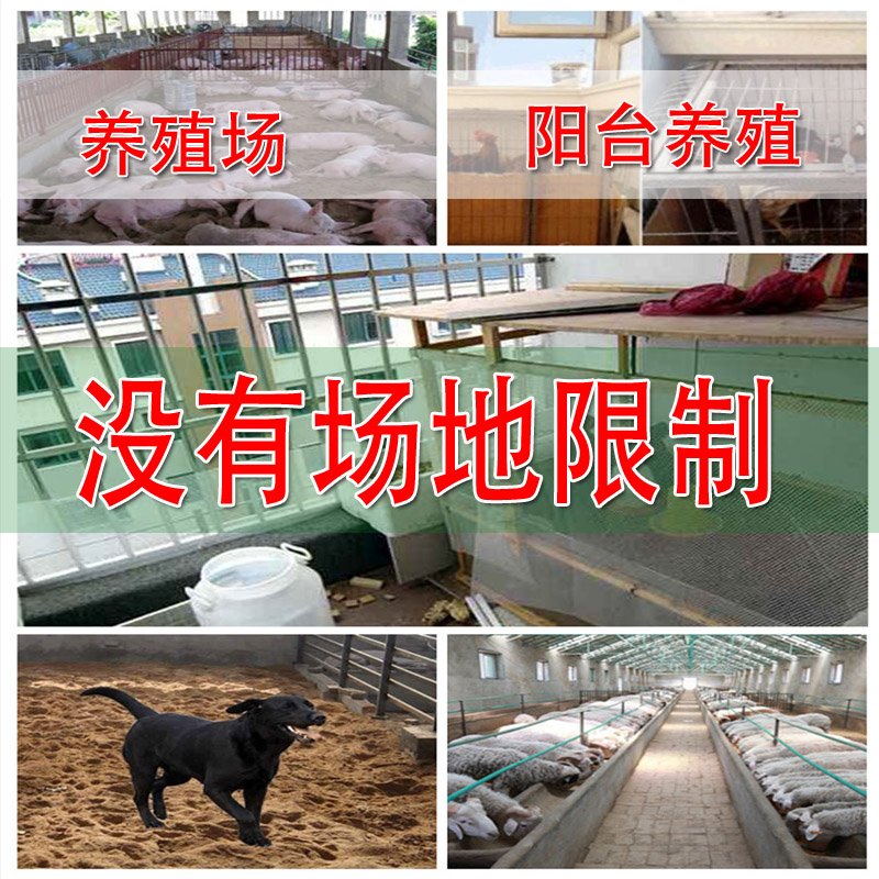 22干撒式发酵床养鸡菌种养猪牛羊蛇s鹌鹑阳台养殖专用无臭垫料复
