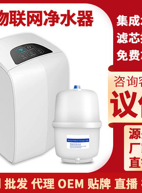物联网净水器家用 双出水新鲜直饮机 ro反渗透纯水机租赁共享