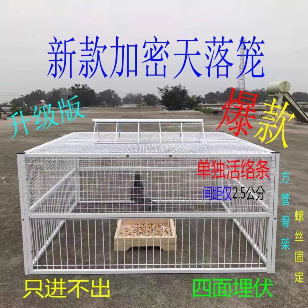 加高特大号鸽子笼跳进口笼子家用只进不出养殖专用活络门撞门神器