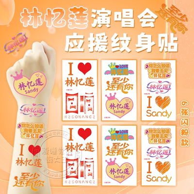 林忆莲演唱会闪粉脸贴粉丝应援物