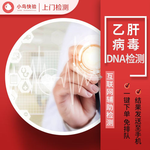 小鸟快验  病毒性肝炎相关检测 乙肝病毒DNA检测