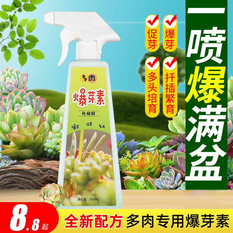优芽素多肉专用肥料促侧芽生长促芽花卉爆芽素植物营养液矮胖素