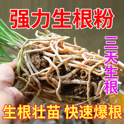 强力生根粉植物通用型扦插用树木快速速效移栽生跟粉发根剂液果树