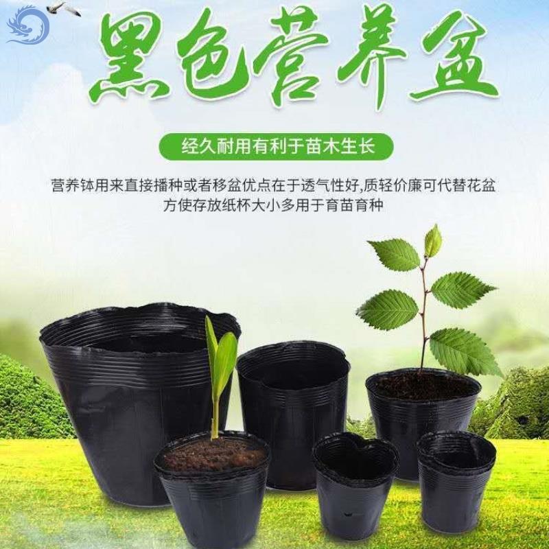 一次性花盆营养钵种植袋营养袋育苗袋果树营养杯盆栽植物神器 Изображение 1 一次性花盆营养钵种植袋营养袋育苗袋果树营养杯盆栽植物神器 Изображение 1