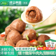 泽众撒尿牛丸爆汁牛肉丸清真火锅丸子麻辣烫食材牛筋丸包心肉丸