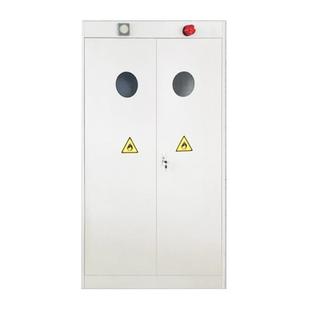 实验室专用智能气瓶柜 全钢带报警钢瓶柜 单瓶双瓶三瓶防爆储存柜