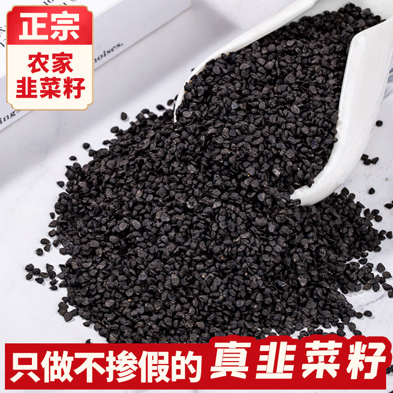 韭菜籽中药材正宗炒熟生韭菜籽粉泡茶泡酒料500克