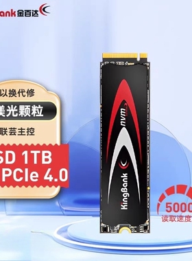 金百达KP260 2T/1TB/512G SSD固态硬盘M.2(NVMe) pcie4.0长江晶圆