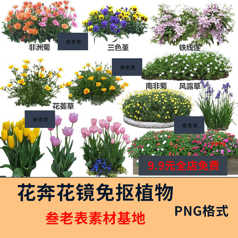 花卉植物procreate花镜 鲜花坛ps效果图png免抠高清带名称psd素材