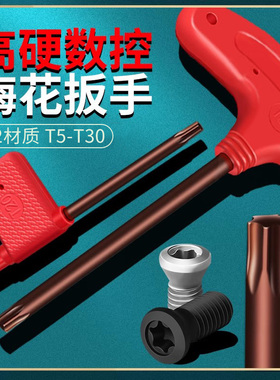 数控螺丝红旗T型刀杆刀盘刀片梅花内六角旗形扳手T567T8910T15T25