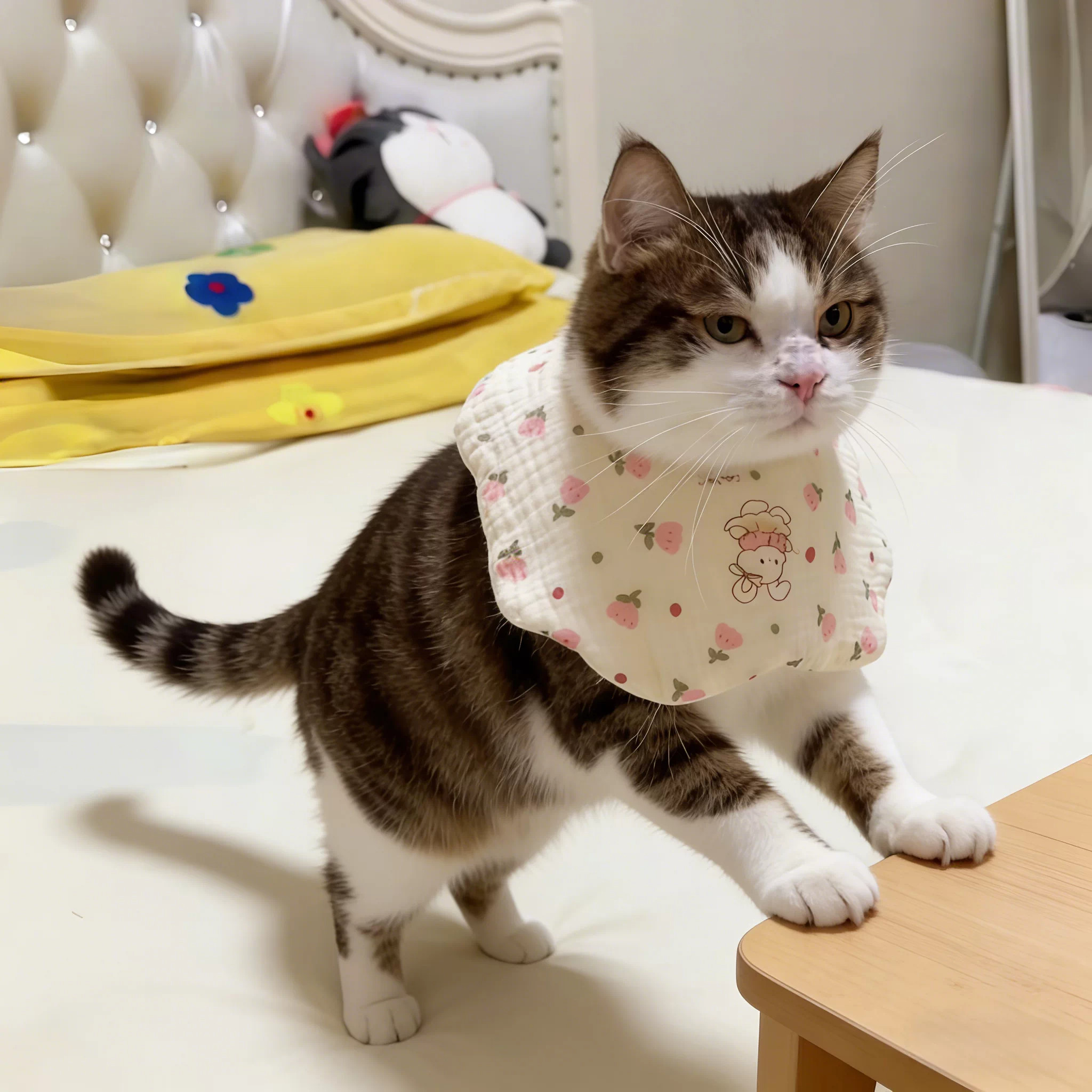 猫咪口水巾纯棉纱布a类棉双面用纽扣围嘴ins风韩版防水防舔围兜