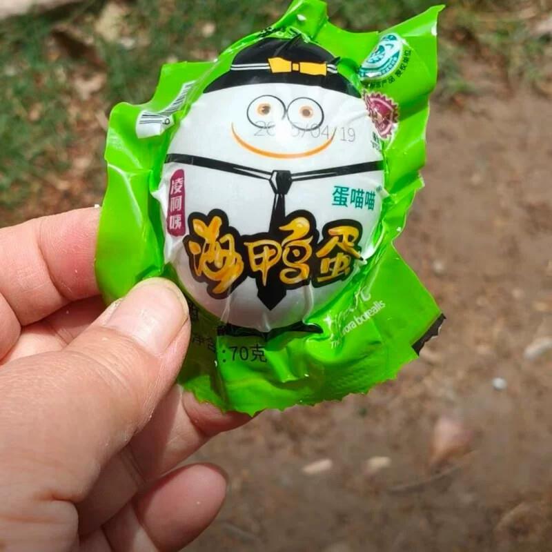 广西北部湾红树林熟烤海鸭蛋流油咸裸蛋海鸭蛋整箱即食