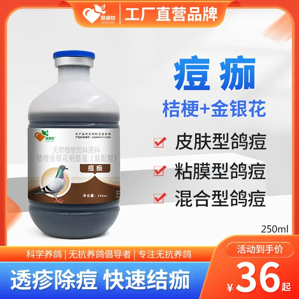 Товары от 爱睿牧鸽用产品工厂店