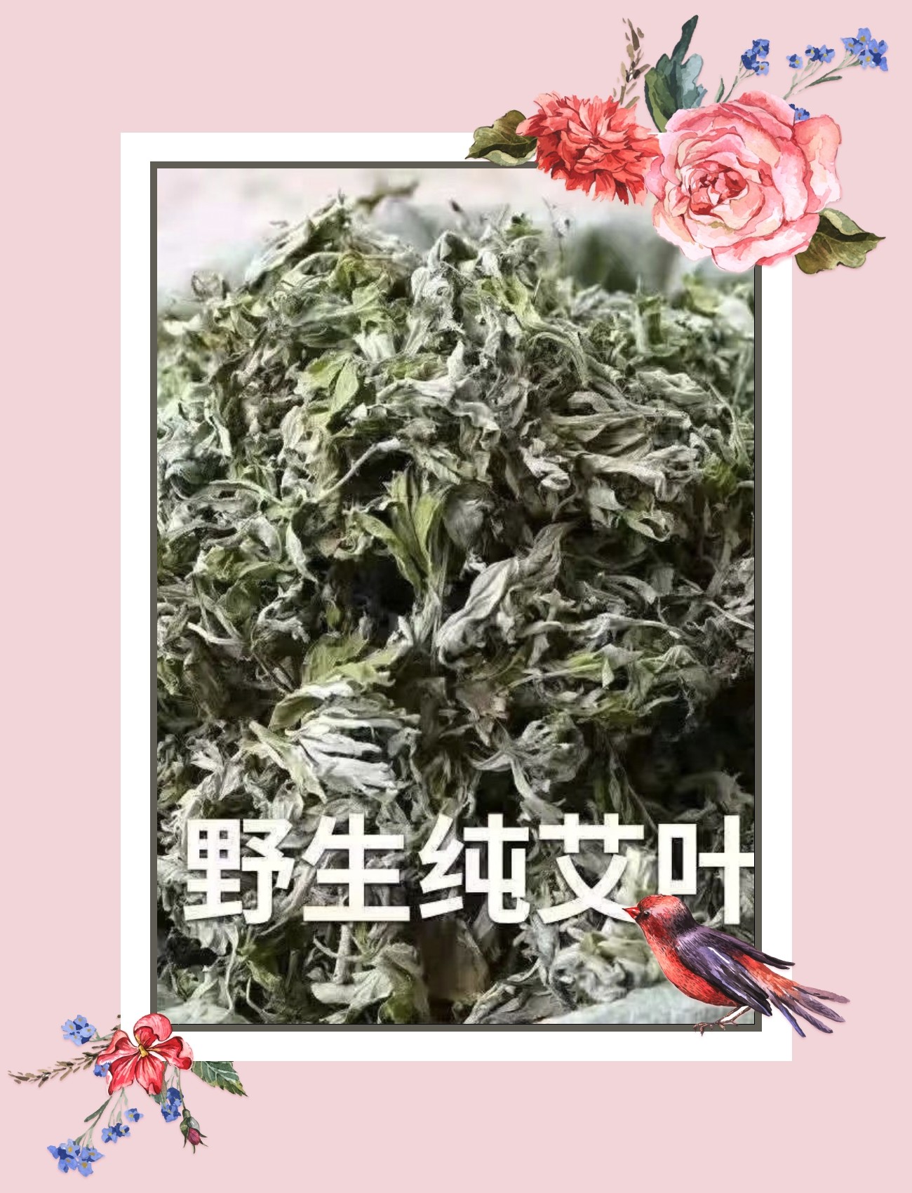 艾叶中药材新鲜艾叶草干货艾草叶艾叶干泡脚洗澡陈艾叶蕲艾无梗