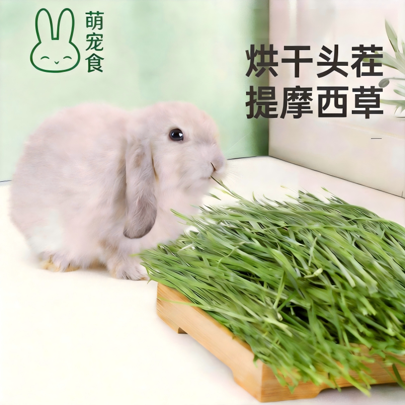 新鲜烘干提摩西草兔草干草牧草