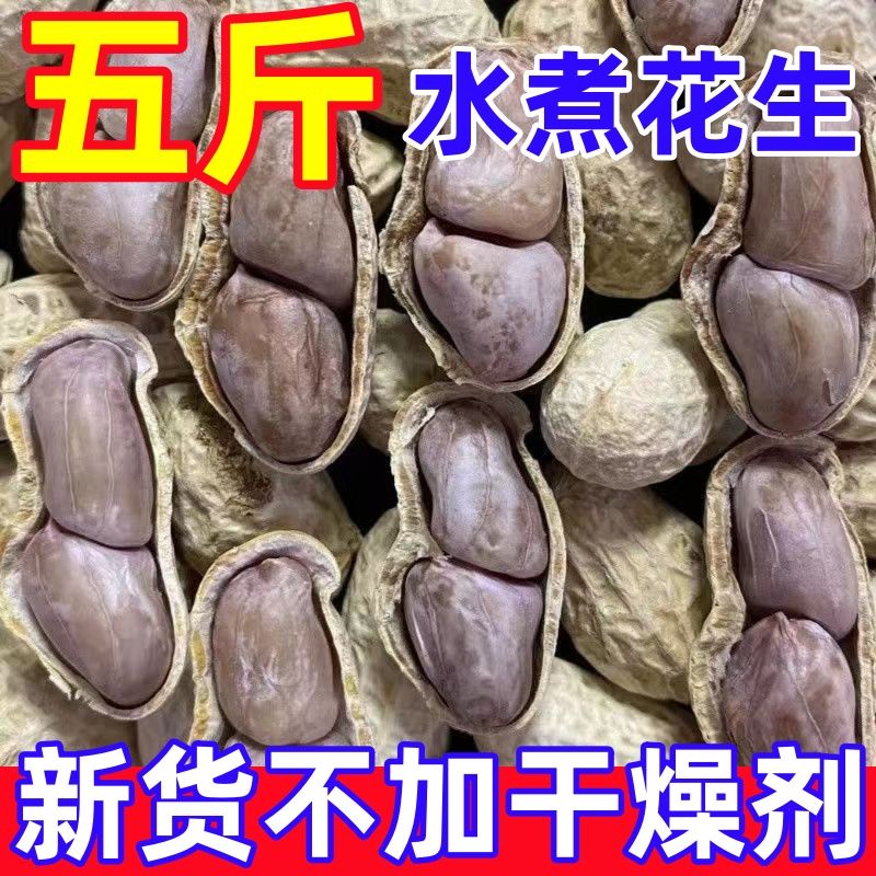新货龙岩特产水煮白晒咸干湿烤带壳花生蒜香五香咸干原味花生米