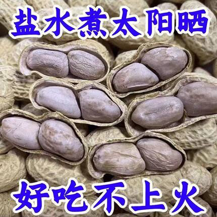 正宗农家水煮白晒干花生蒜香五香花生米带壳咸酥炒货香脆特产零食