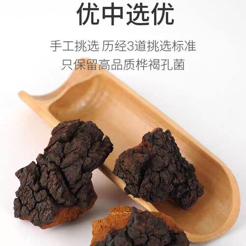 进口桦树茸黑金颗粒俄罗斯野生非长白山白桦茸桦褐孔菌茶
