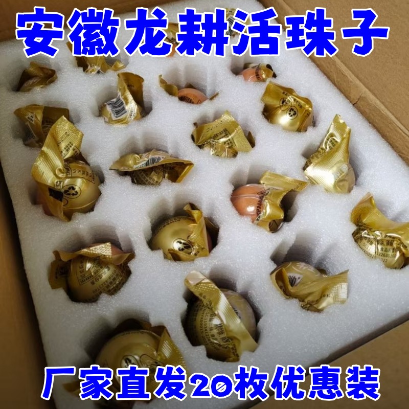 安徽龙耕活珠子熟食即食零食10枚/20枚鲜香活珠子13天新鲜个大