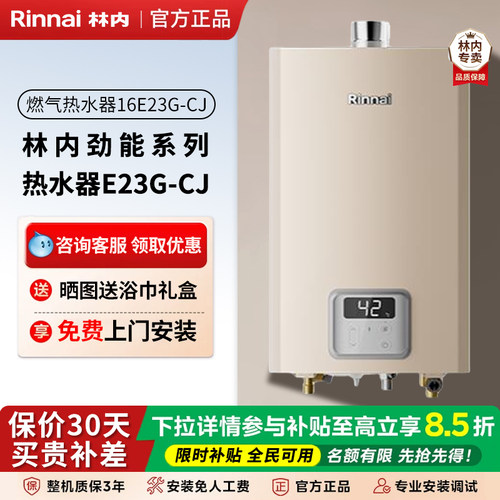 林内室内强排智能恒温进口芯片16