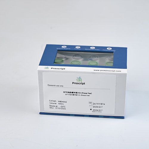 BPTE电泳缓冲液(10×,RNase free) MB04042 科研试剂 现货供应