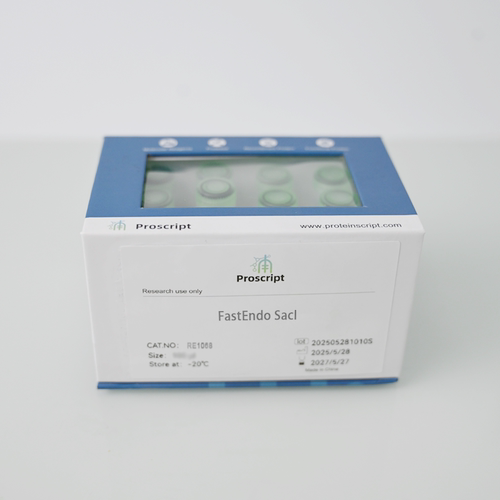 FastEndo® SacI RE1068 限制性内切酶 克隆 基因构建