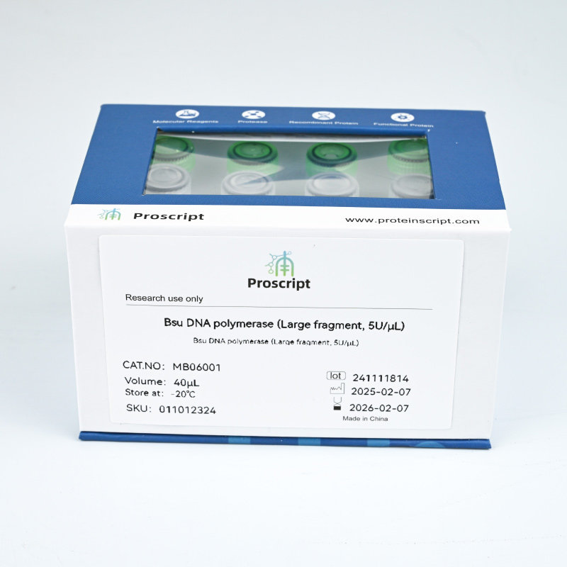 Bsu DNA polymerase (Large fragment, 5U/μL) MB06001 科研试剂