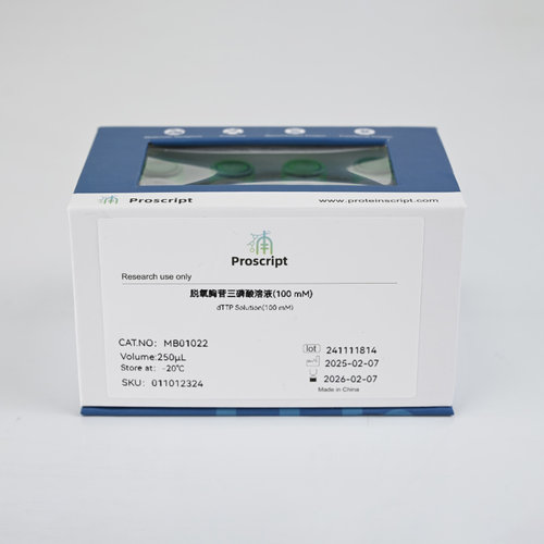dTTP Solution(100 mM) 脱氧胸苷三磷酸溶液(100 mM) MB01022科研