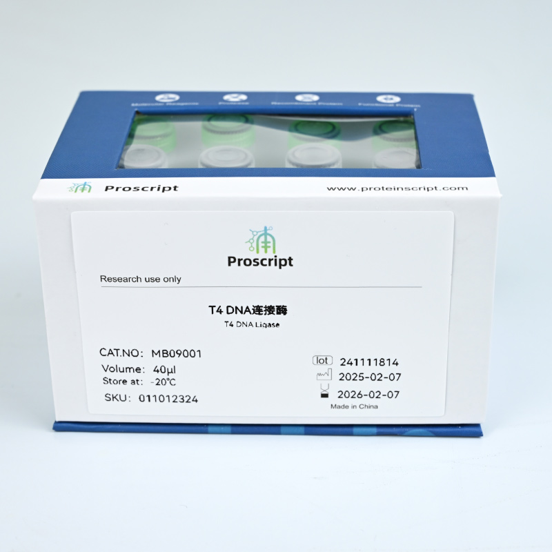 T4 DNA连接酶 MB09001 科研试剂 现货供应