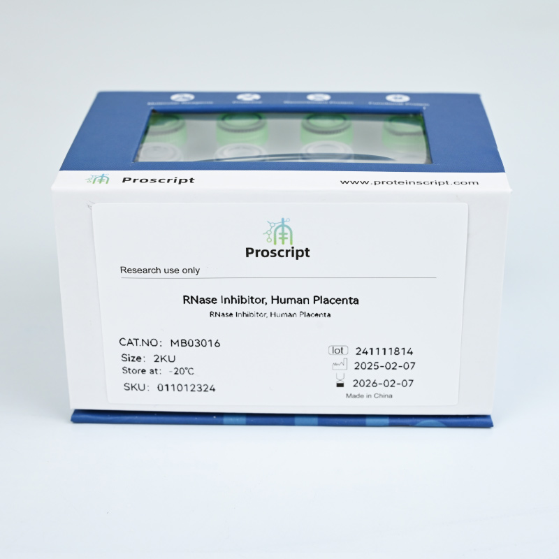 RNase Inhibitor, Human Placenta MB03016 科研试剂 现货供应