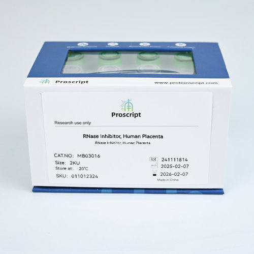 RNase Inhibitor, Human Placenta MB03016 科研试剂 现货供应