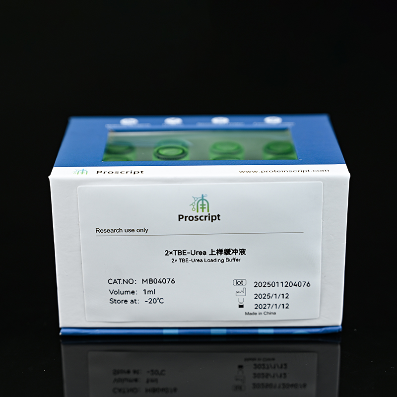 2×TBE-Urea 上样缓冲液 MB04076 科研试剂现货