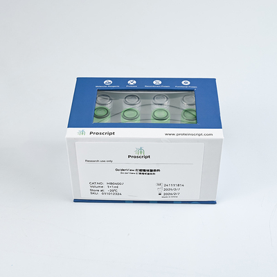 GoldenView 吖啶橙核酸染料 MB04007 科研试剂 现货供应