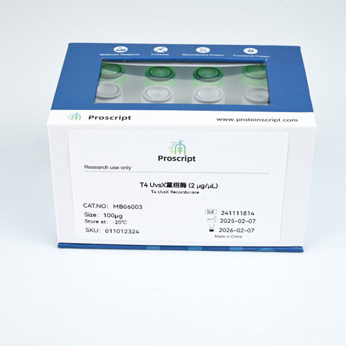 T4 UvsX重组酶 T4 UvsX Recombinase(2 μg/μL) MB06003科研试剂