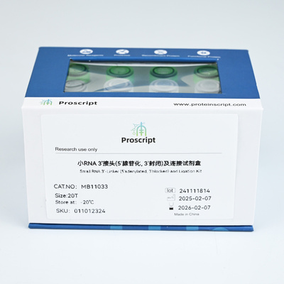 小RNA 3'接头(5'腺苷化, 3'封闭)及连接试剂盒 MB11033 科研试剂