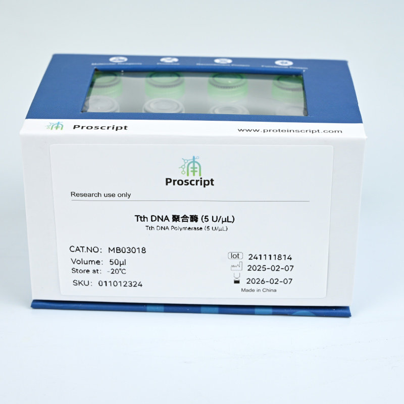 Tth DNA Polymerase (5 U/μL) MB03018  科研试剂  助力科研突破